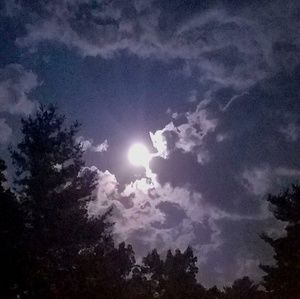 Meet your Posher, Krysten